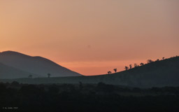 Ngorongoro Wildlife Lodge: Sonnenuntergang