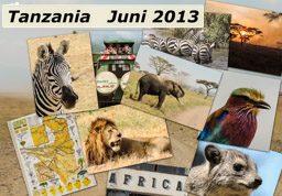 Collage_Tanzania_