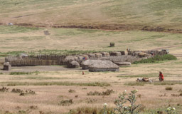 Masai Dorf