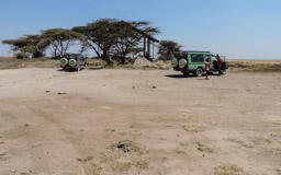 Eingangs Tor  zum Serengeti NP