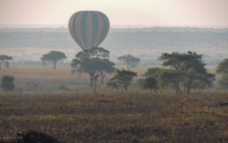 Ballon  Safari
