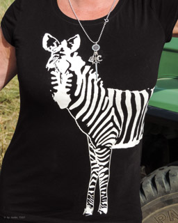 T - Shirt mit Zebra (Equus quagga)