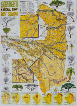 Serengeti Map  (Dry Season)