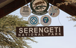 1951 gründete die tansanische Regierung den Nationalpark Serenget